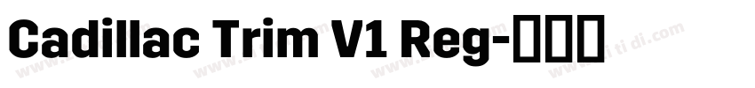 Cadillac Trim V1 Reg字体转换